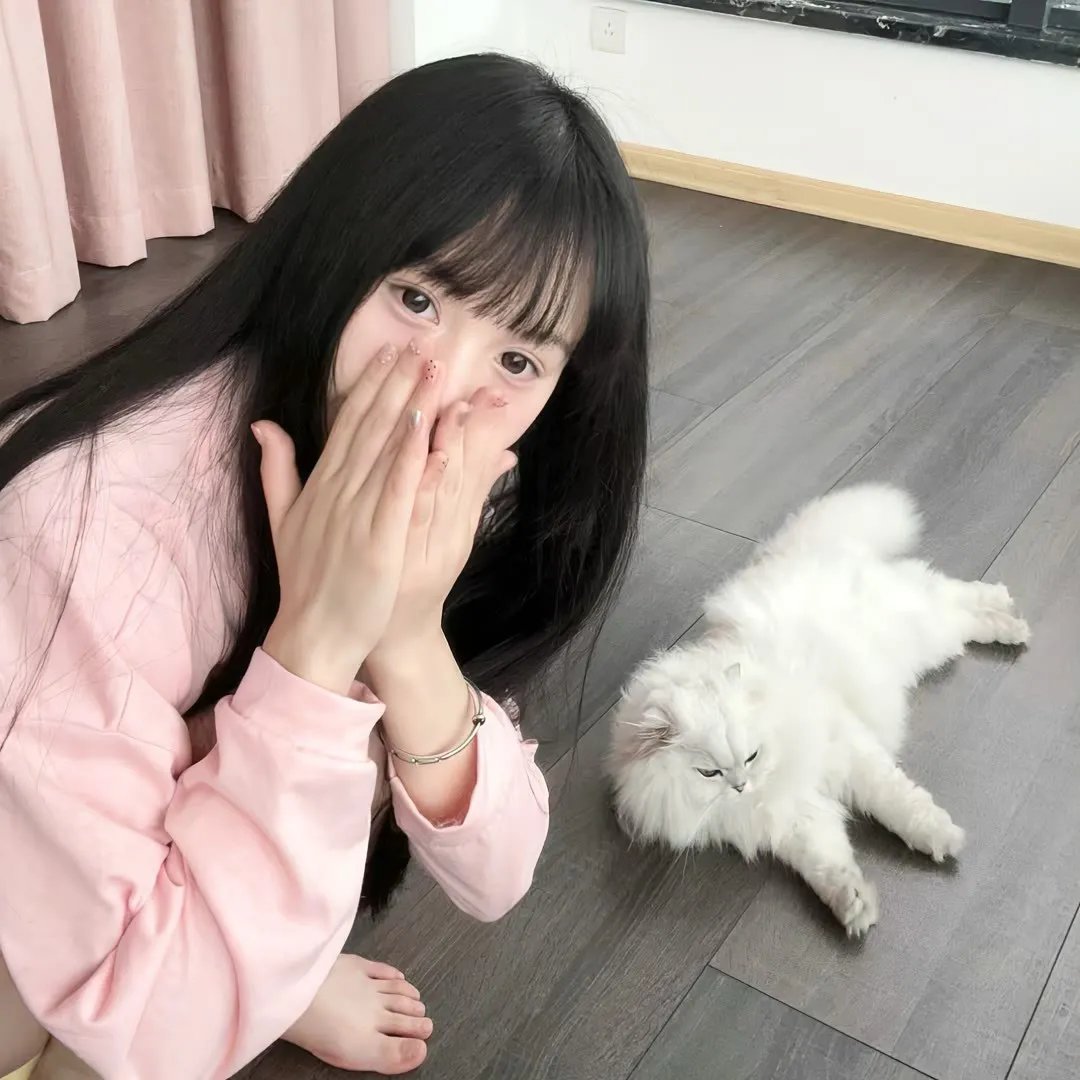 法证先锋2
